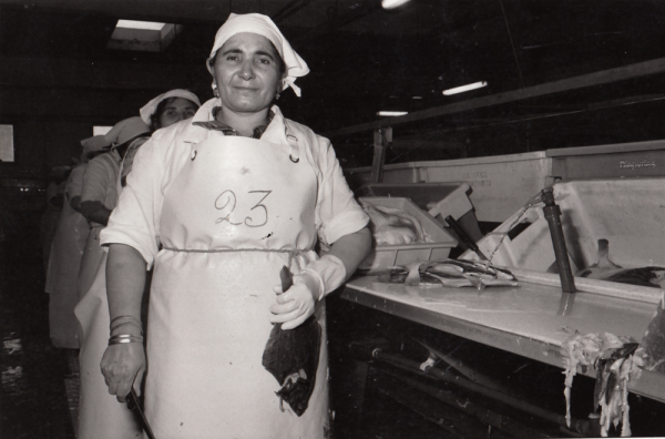 werkneemster van visfileerfabriek Diepvries Breskens, jaren 1980 – © Lieve Colruyt werkneemster van visfileerfabriek Diepvries Breskens, jaren 1980 – © Lieve Colruyt